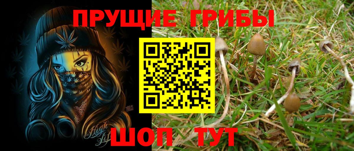 где купить   Вход с VPN  Реж  Галлюциногенные грибы Magic Shrooms 