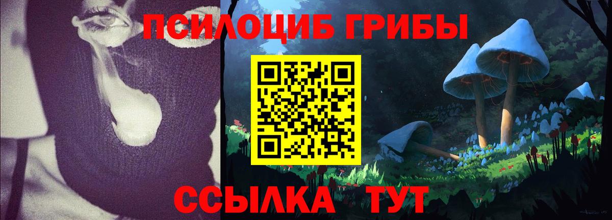 Псилоцибиновые грибы мицелий Реж